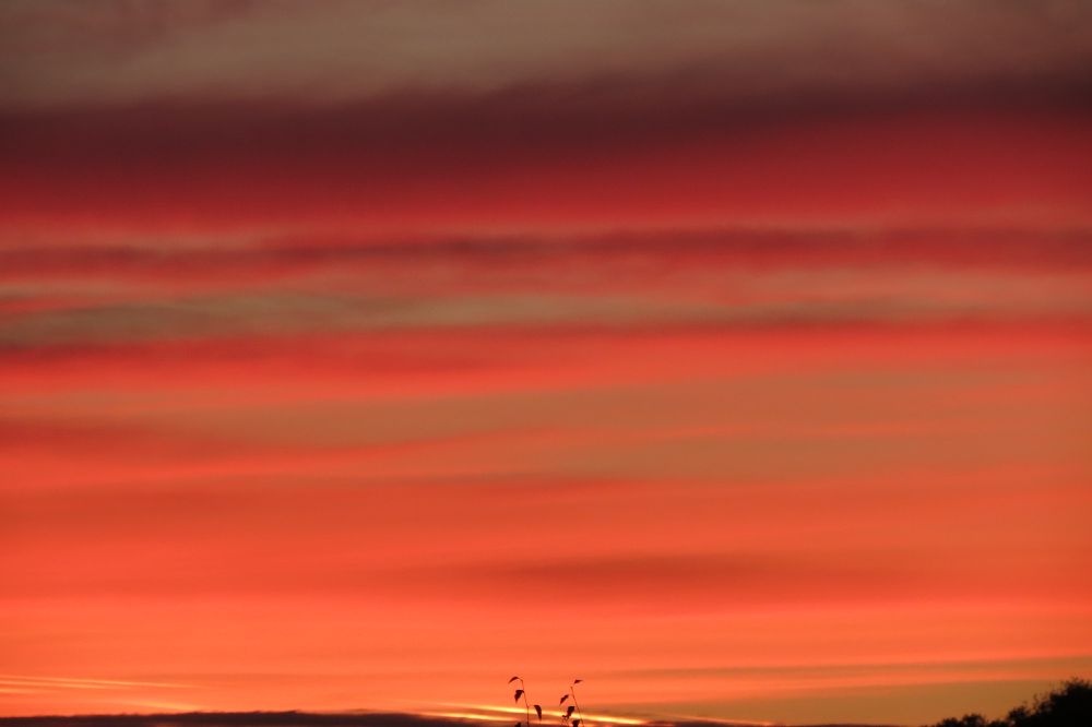 Morgenrot in Tübingen