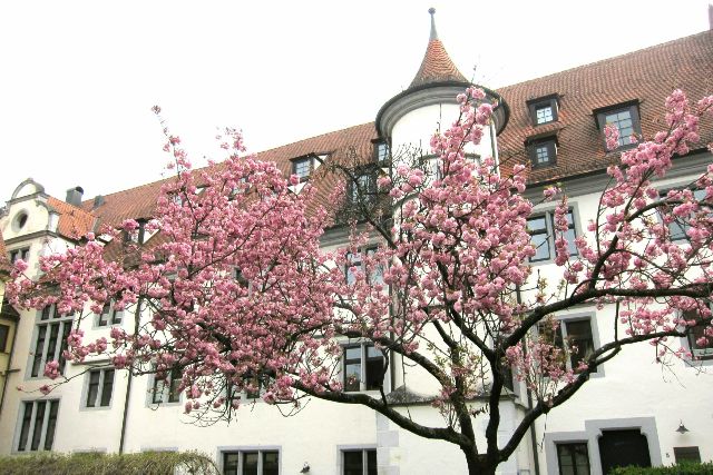 Katholisches Wilhelmstift in Tübingen